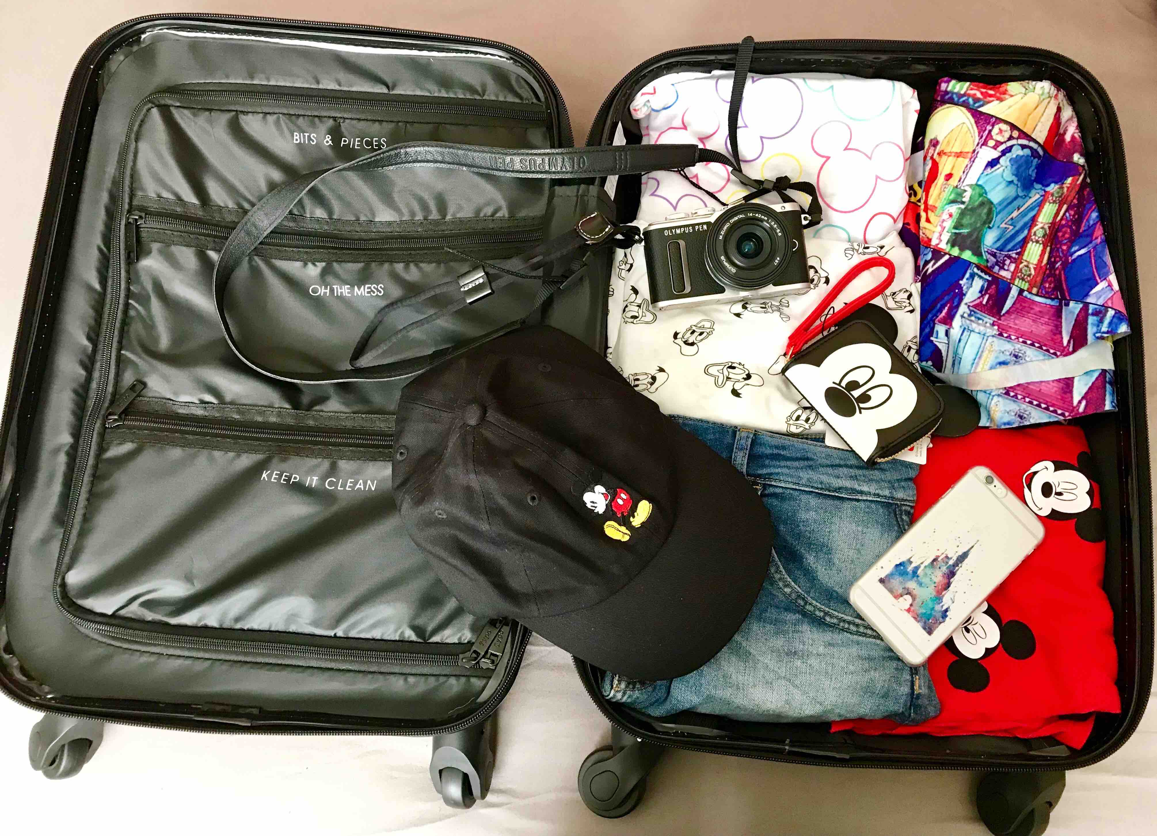 mickey mouse suitcase typo